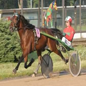 Johnny Westenbrink